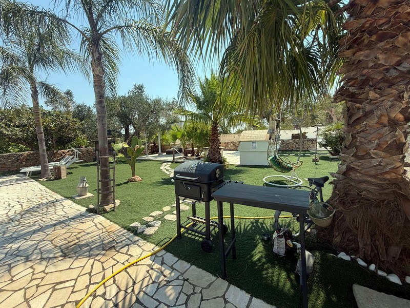 Garden and barbecue